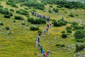 Teambuilding A group of hikers enjoying a scenic mountain trail during the day.