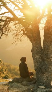 Über Mich Person sitting under a tree in golden sunlight, embracing tranquility.